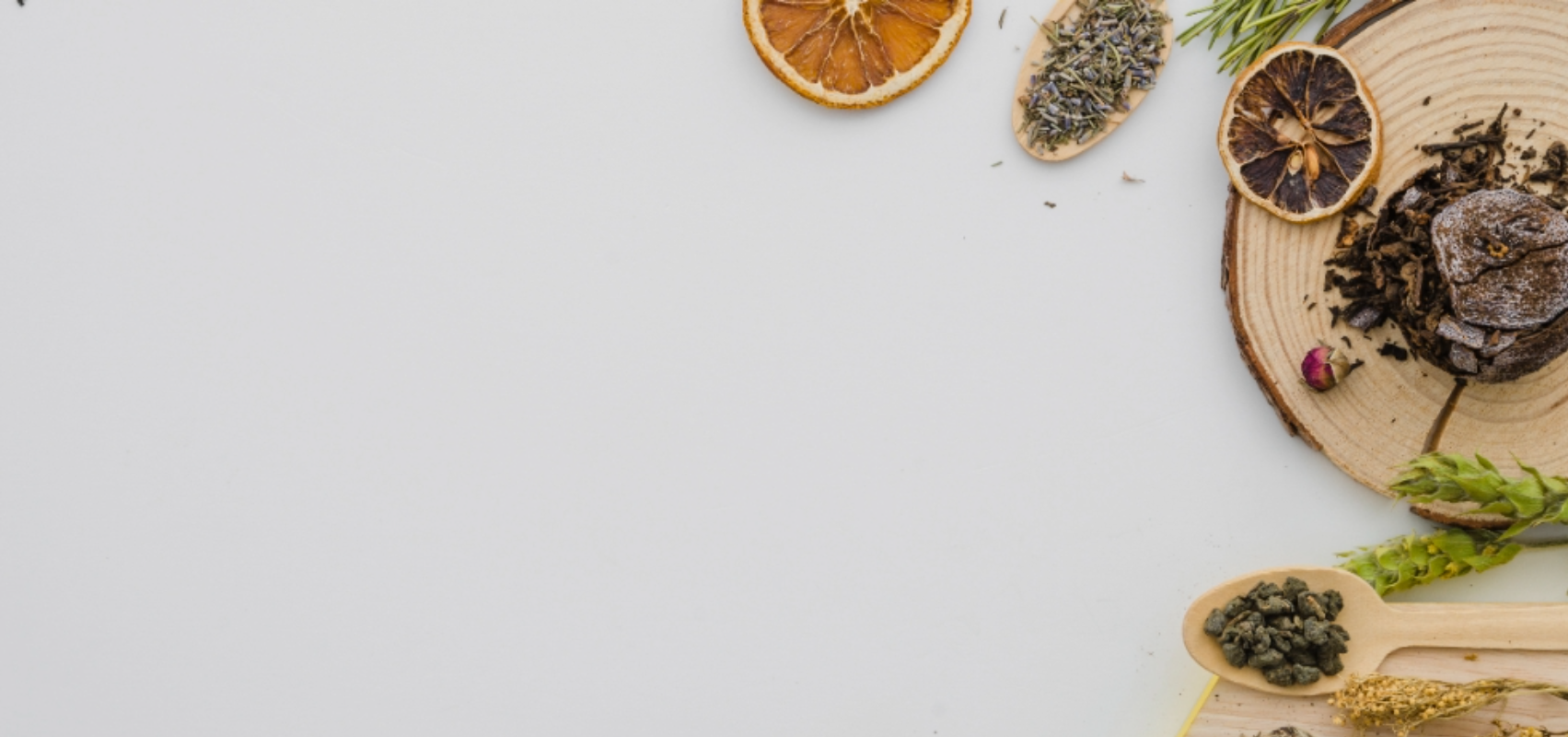 Banner Image 1